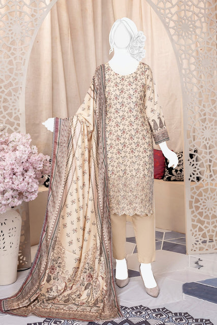 Amna khadija Deon Style Luxury Karandi Collection ADS 09