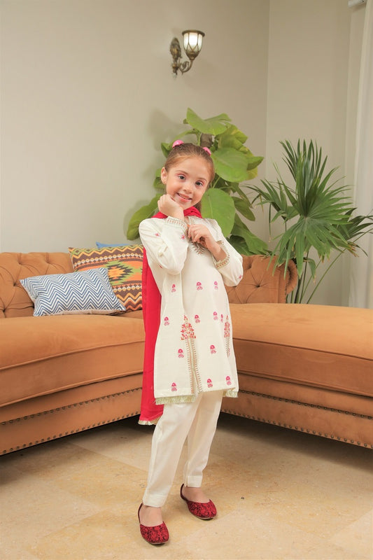 Shanzey Embroidered Cotton Collection Spring 2023 SHK 702