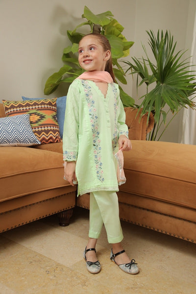 Shanzey Embroidered Cotton Collection Spring 2023 SHK 704