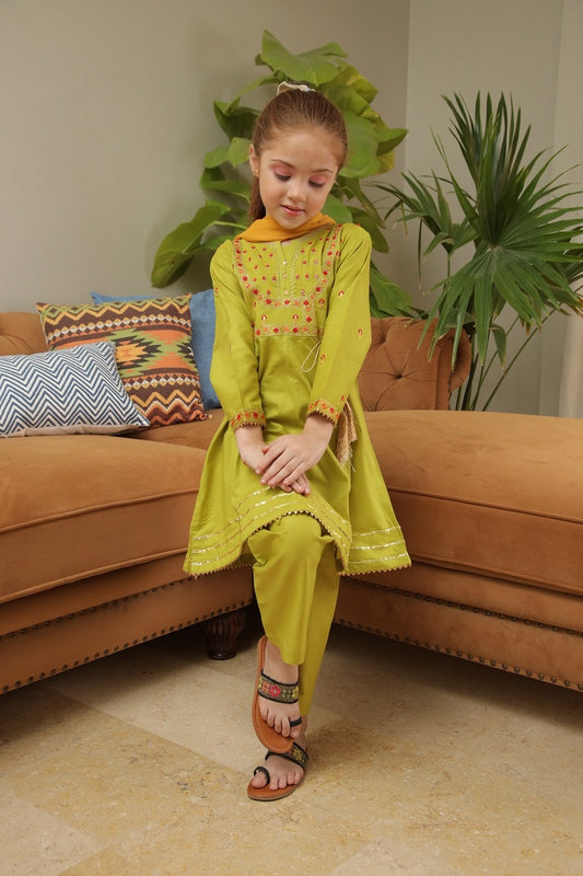 Shanzey Embroidered Cotton Collection Spring 2023 SHK 706